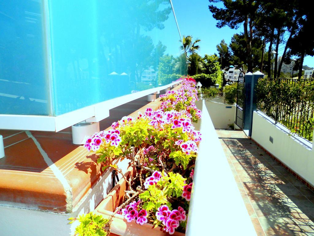 Apartment Petit Blau