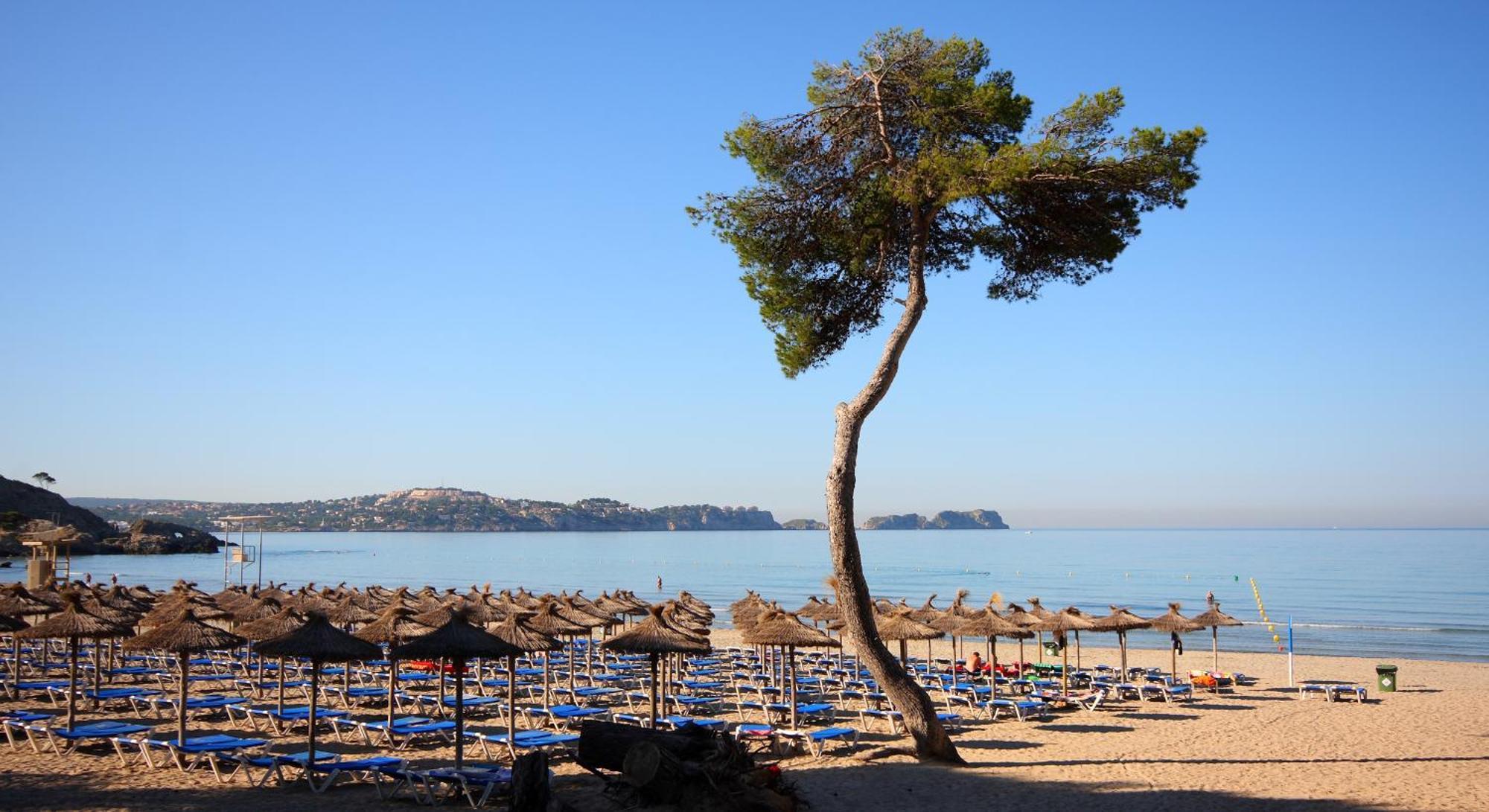 Lejlighed Petit Blau